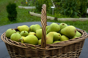 Image showing Pears.