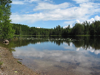 Image showing By the lake