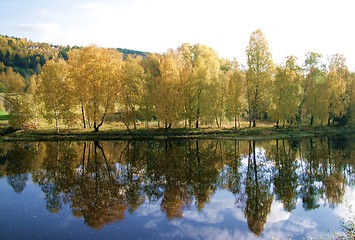 Image showing River bank in fall