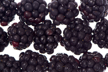 Image showing Blackberry background