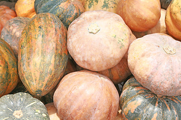 Image showing Background of pumkins