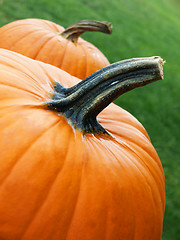 Image showing Two pumpkins