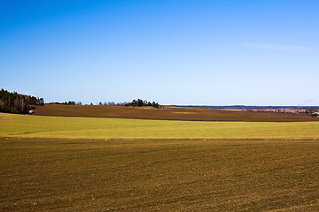 Image showing Agriculture