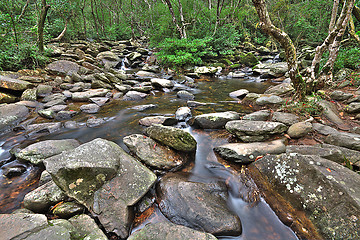 Image showing cascade of water through forest