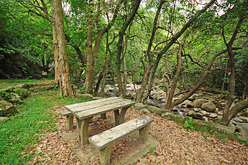 Image showing Picnic place in forest 