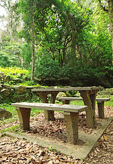 Image showing Picnic place in forest 