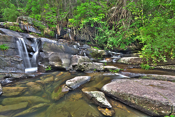 Image showing cascade of water through forest