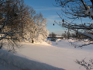 Image showing Low sun in winter forest