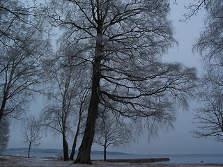 Image showing Winter by seaside