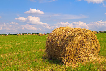Image showing Straw bales on field