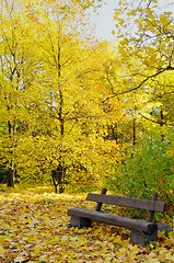 Image showing Autumn landscape. Bench in the park