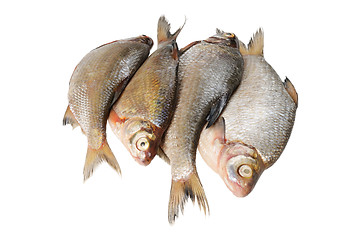 Image showing Several fresh freshwater fish