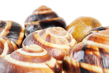 Image showing Bourgogne snails with garlic butter