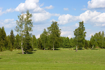 Image showing Summer landscape