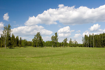 Image showing Summer landscape