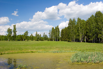 Image showing Summer landscape