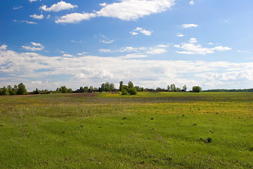 Image showing Summer landscape