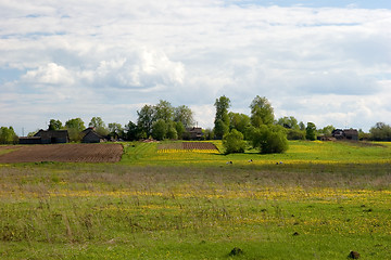 Image showing Summer landscape