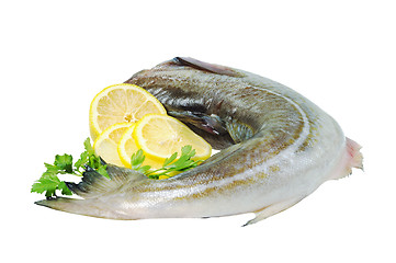 Image showing Raw fish, decorated with lemon and herbs