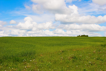 Image showing Summer landscape