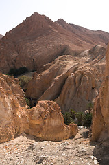 Image showing An oasis in the mountainous part of the Sahara