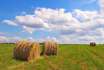 Image showing Straw bales on field