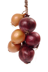 Image showing Bundle of onion bulbs isolated on white