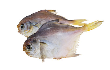 Image showing Dried fish. Piranha.