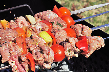 Image showing Kebabs, threaded on a skewer