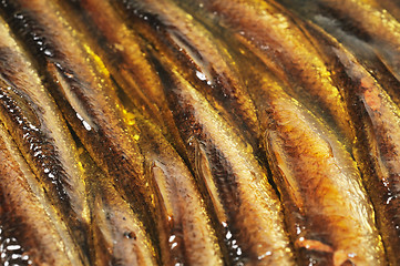 Image showing Canned fish in oil, background.