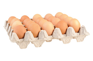 Image showing Eggs in the package