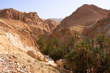 Image showing An oasis in the mountainous part of the Sahara