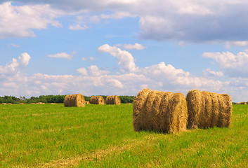 Image showing Straw bales on field