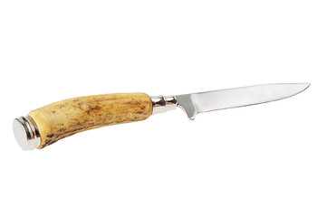 Image showing Vintage hunting knife with a bone handle