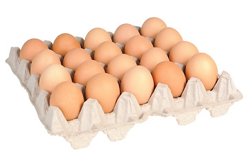 Image showing Eggs in the package