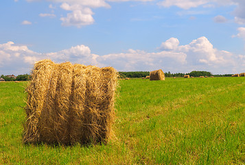 Image showing Straw bales on field