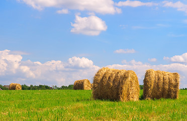 Image showing Straw bales on field