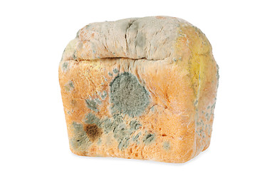 Image showing Moldy bread. Isolated