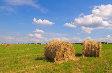 Image showing Straw bales on field