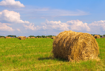 Image showing Straw bales on field