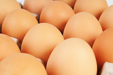 Image showing Eggs in the package