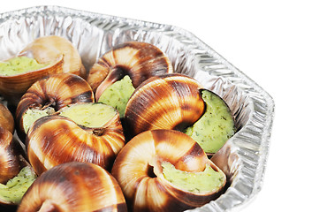 Image showing Bourgogne snails with garlic butter