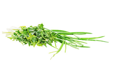 Image showing Onions and parsley