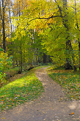 Image showing Autumn landscape. Russia