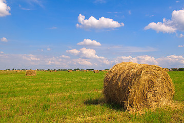 Image showing Straw bales on field