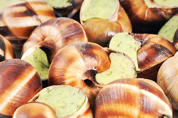 Image showing Bourgogne snails with garlic butter