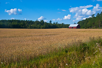 Image showing Red barn