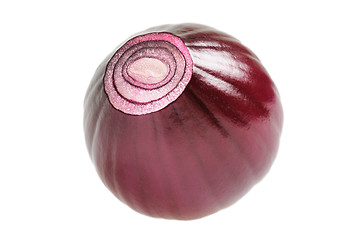 Image showing Onion macro