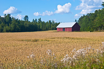 Image showing Red barn