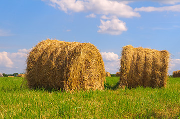 Image showing Straw bales on field